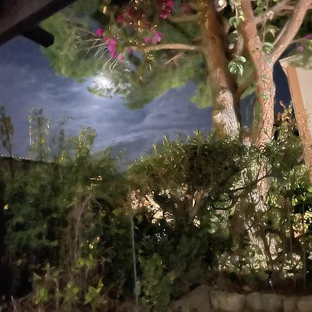 Studio Bandol Avec Jardin ภายนอก รูปภาพ