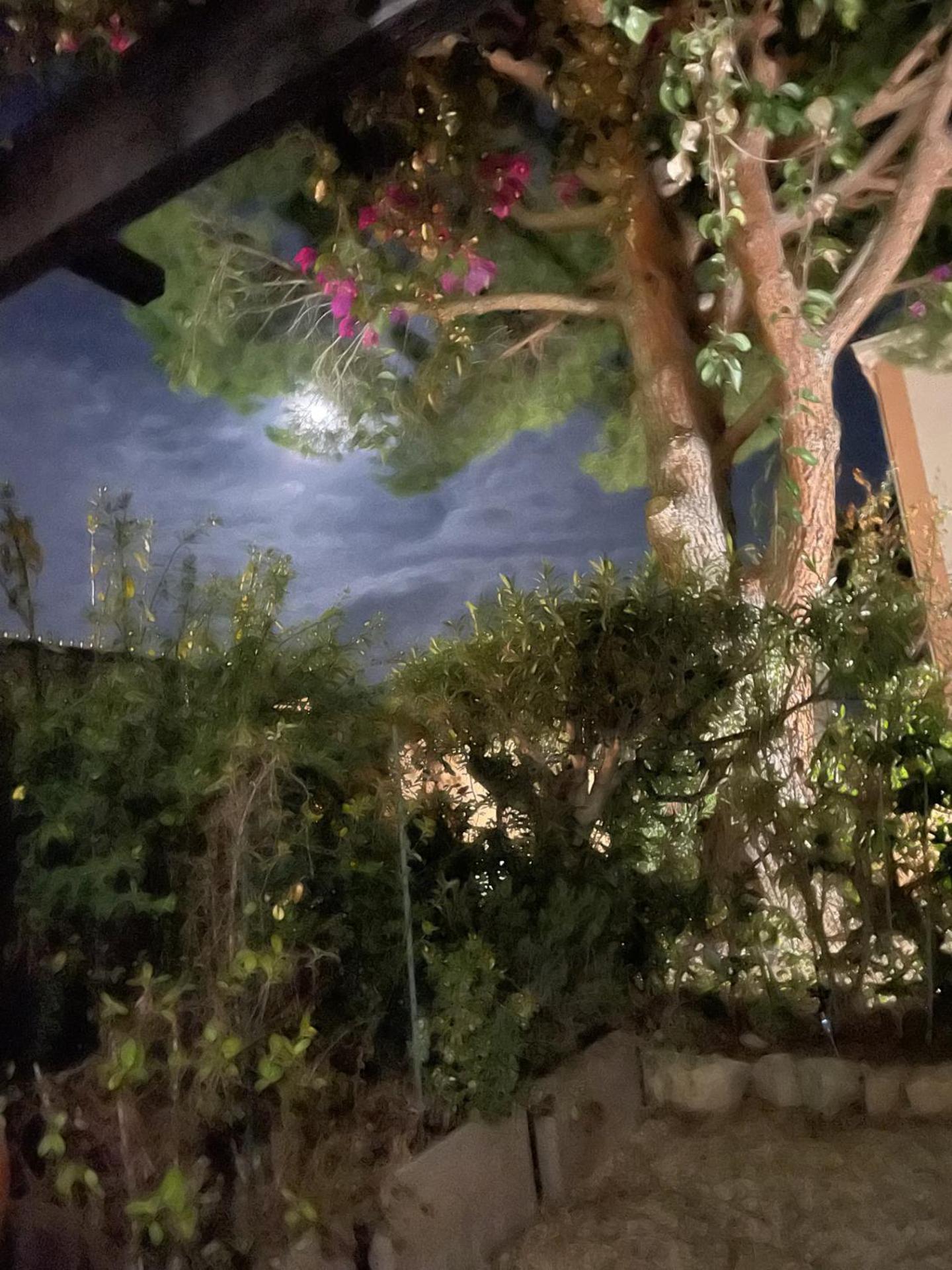 Studio Bandol Avec Jardin ภายนอก รูปภาพ